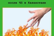 На какую поддержку могут рассчитывать заемщики и как после ЧП работают МФО